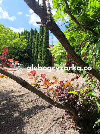 Usługi glebogryzarką separacyjną Izabelin koło Warszawy